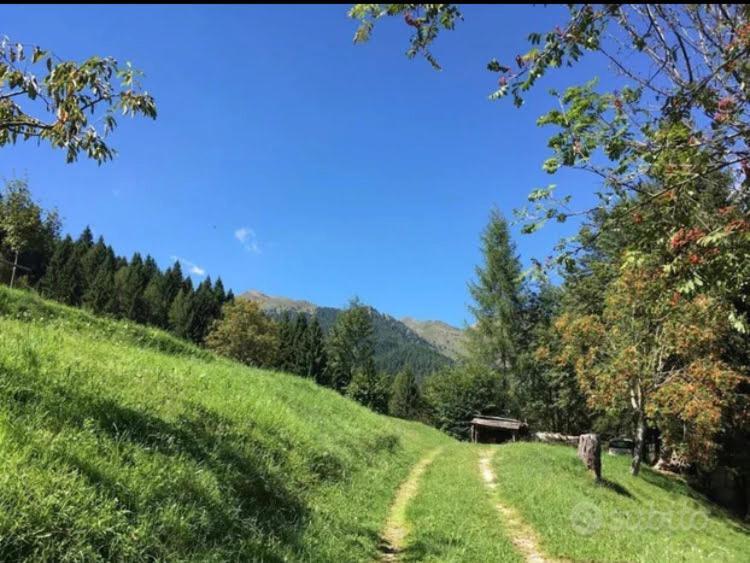 Baita Palue Torcegno Экстерьер фото